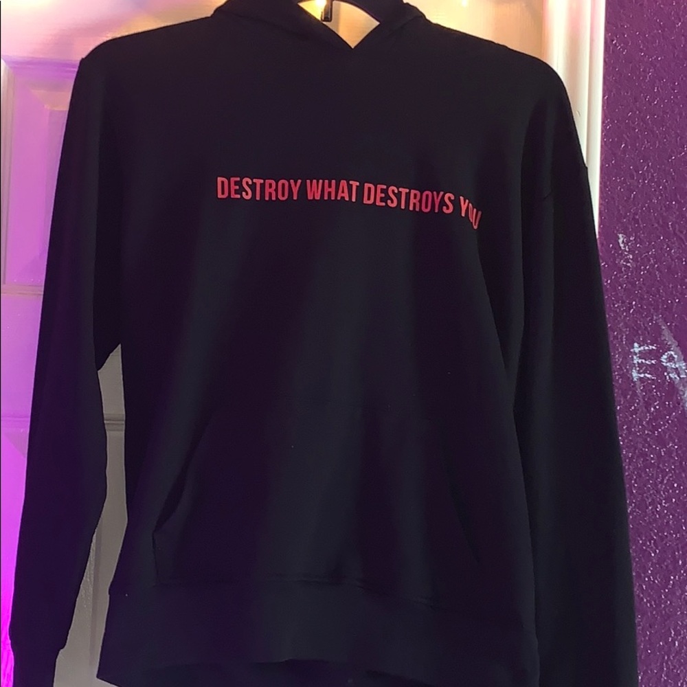 Destroy what destroys you hoodie